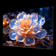 电视Vision聪慧屏5SE很是适百口庭用户